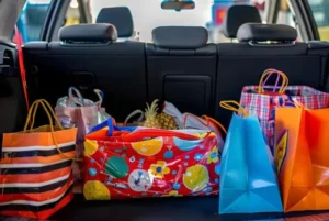 Understanding Our Non-Transportable and Prohibited Items Policy 3 Understanding Our Non-Transportable and Prohibited Items Policy